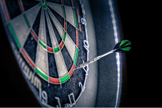 From hobby to career: real-life examples of how Dart board changed lives.